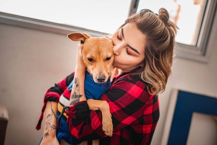 Dicas preciosas para que a mudança do seu bichinho seja tranquila