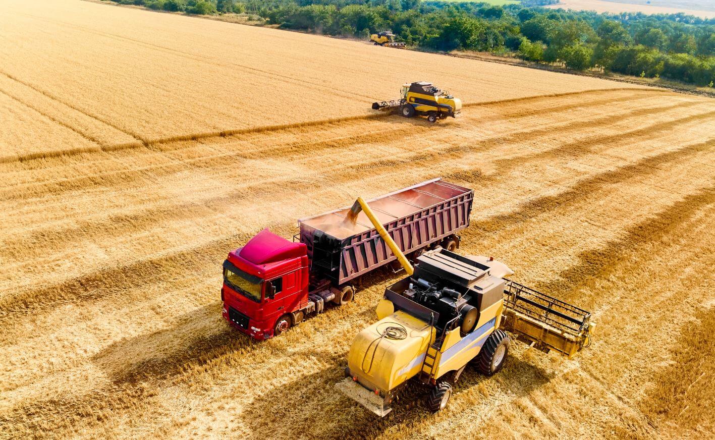 Desafios e Soluções: Logística em Áreas Rurais